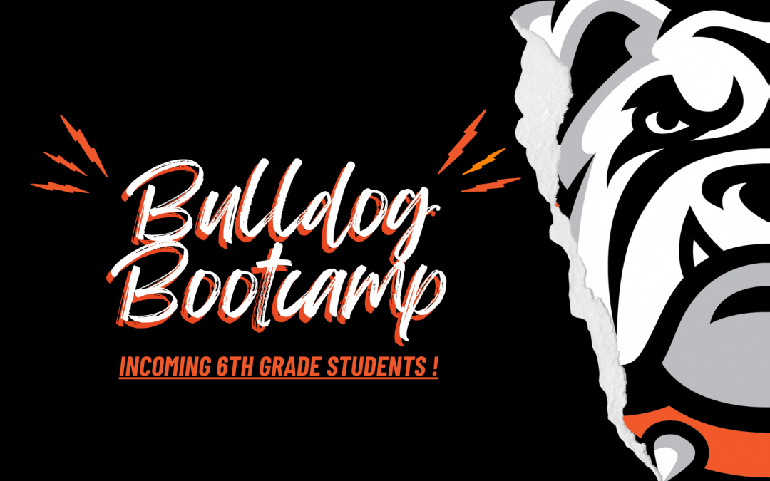 Bulldog Bootcamp